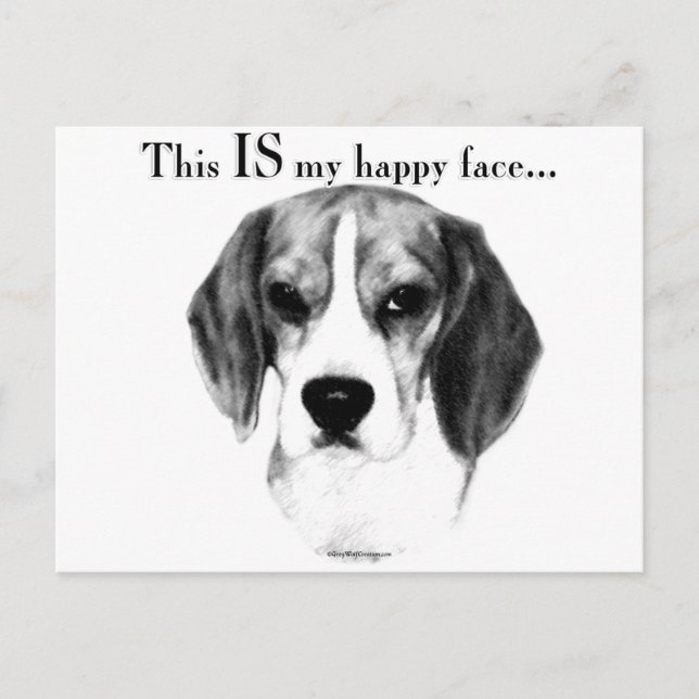 Beagle Happy Face; Happy Beagle; Grumpy Beagle Postcard (Front)