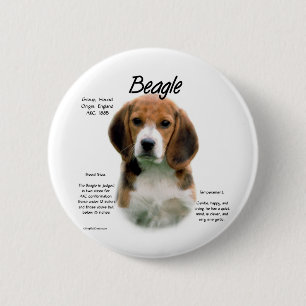 Beagle History; All About Beagles 2 Inch Round Button