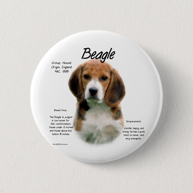 Beagle History; All About Beagles 2 Inch Round Button (Front)
