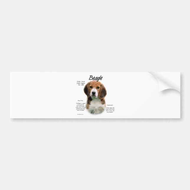 Beagle History; All About Beagles Bumper Sticker (Front)