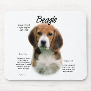 Beagle History; All About Beagles Mouse Pad