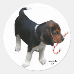 Beagle Holiday Sticker