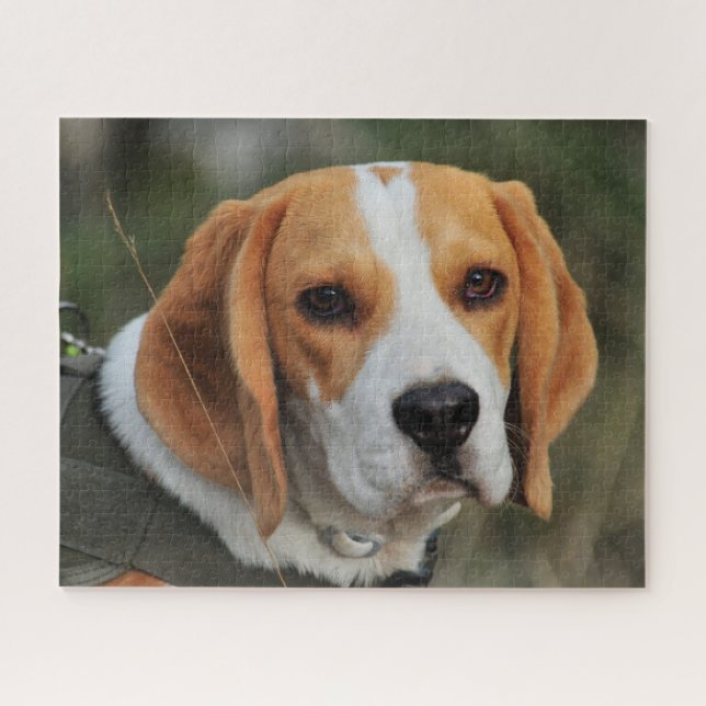 Beagle Hound Dog Jigsaw Puzzle (Horizontal)