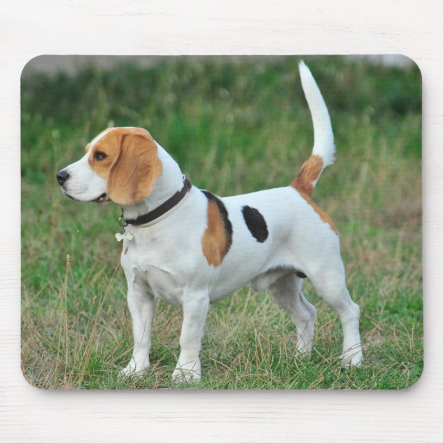 Beagle Hound Dog Mouse Pad (Front)