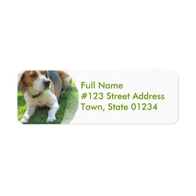 Beagle Hound Dog Return Address Label (Front)