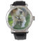 Beagle Hound Dog