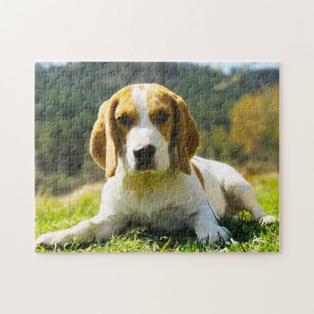 Beagle Hound Dogs. Jigsaw Puzzle (Horizontal)