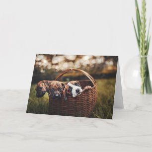 Beagle Hound Lover Dog Puppies Dog Thinking of You Card