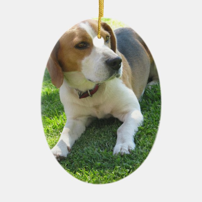 Beagle Hound Ornament (Front)