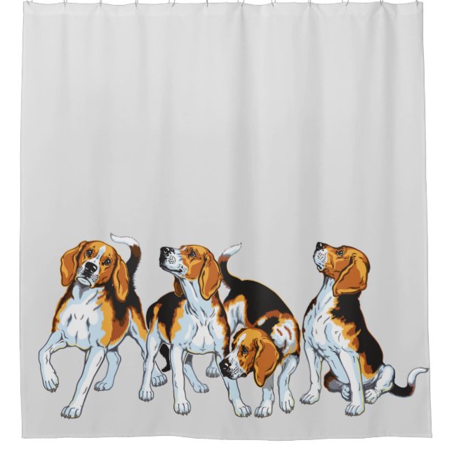 beagle hounds (Front)