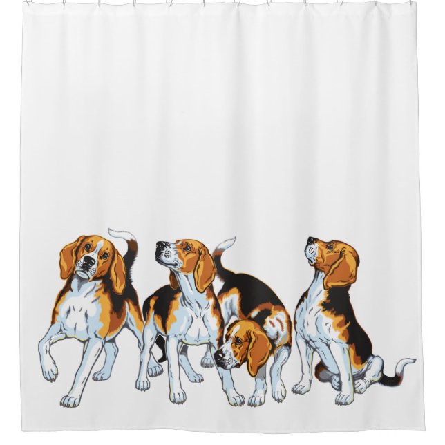 beagle hounds (Front)