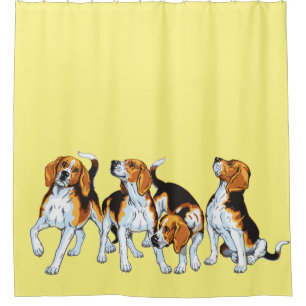 beagle hounds