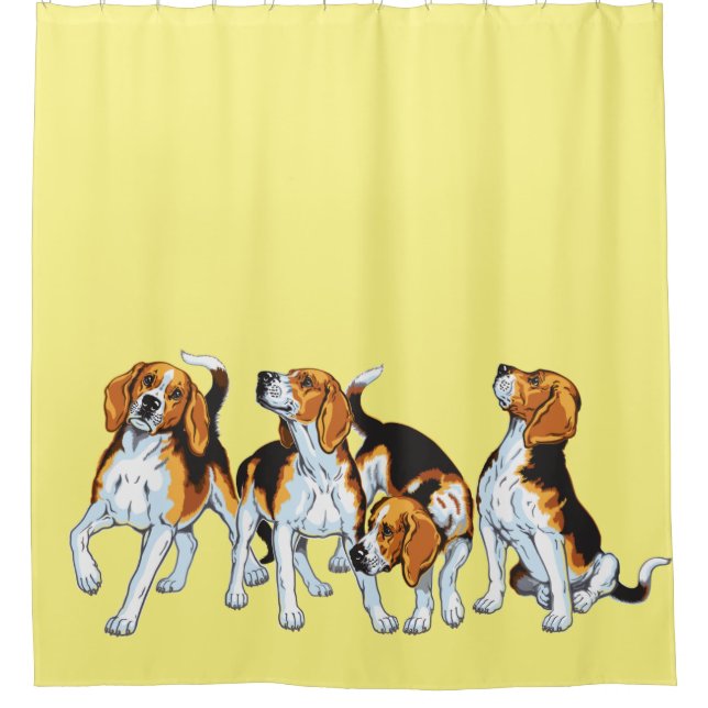 beagle hounds (Front)