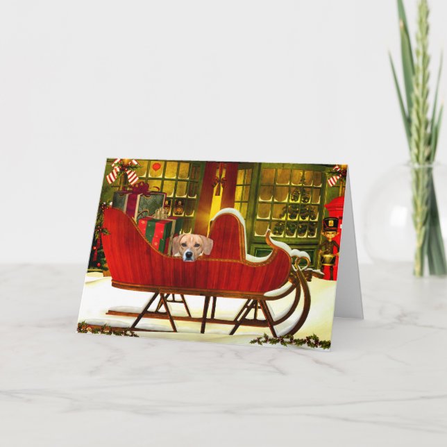 Beagle in a Christmas sled Holiday Card (Front)