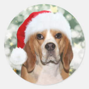 Beagle in Christmas Santa hat Classic Round Sticker