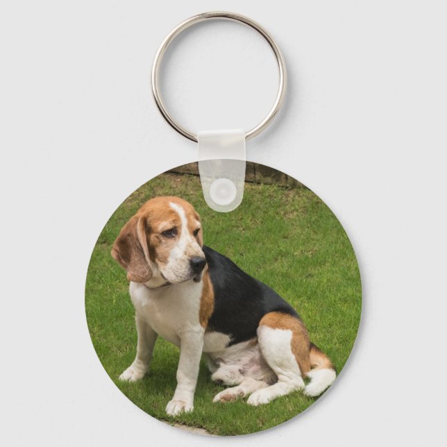 Beagle Keychain (Front)