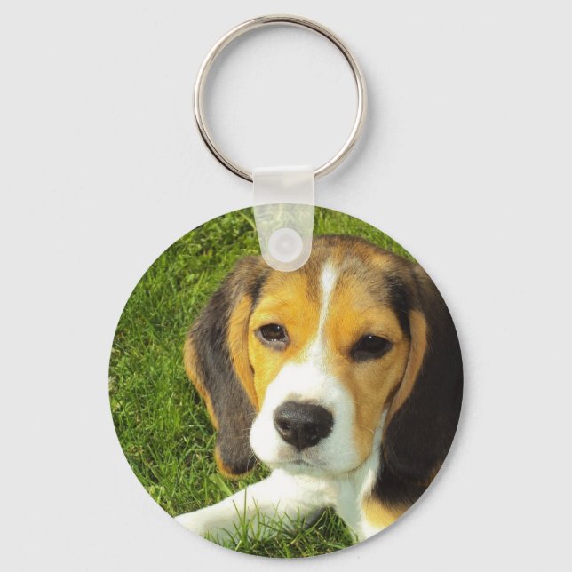 Beagle Keychain (Front)