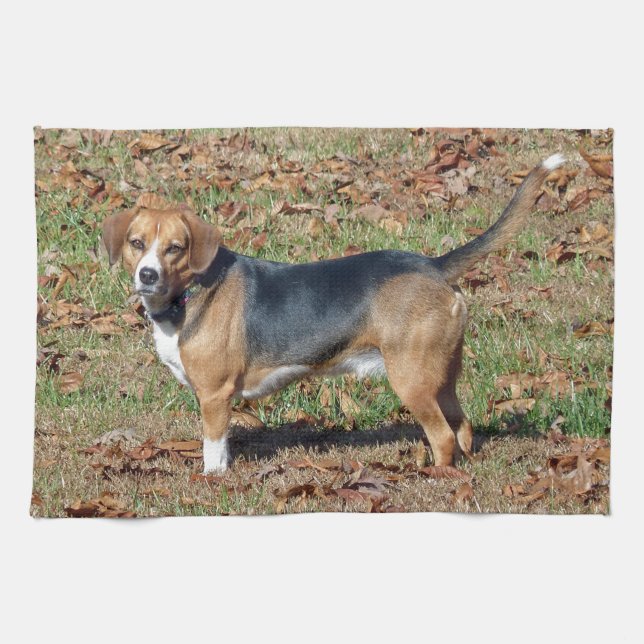 Beagle Kitchen Towel (Horizontal)