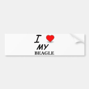 beagle love bumper sticker