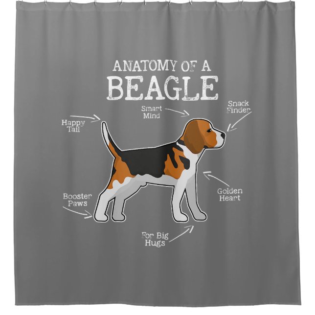 Beagle Lovers/ Anatomy Of A Beagle  (Front)