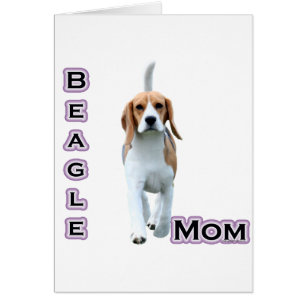 Beagle Mom 4