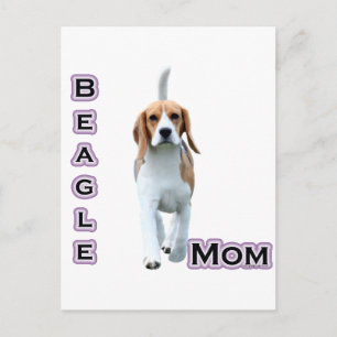 Beagle Mom 4 Postcard