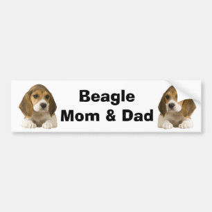 Beagle Mom & Dad Bumper Sticker