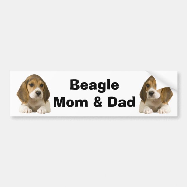 Beagle Mom & Dad Bumper Sticker (Front)