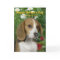 Beagle Mother's Day Card