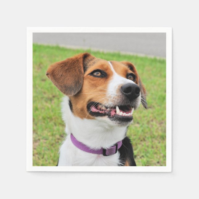 Beagle Napkin (Front)