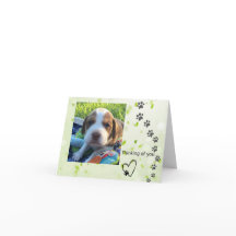 Beagle note card (blank inside)