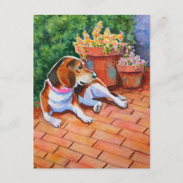 Beagle on Brick Patio Postcard (Front)