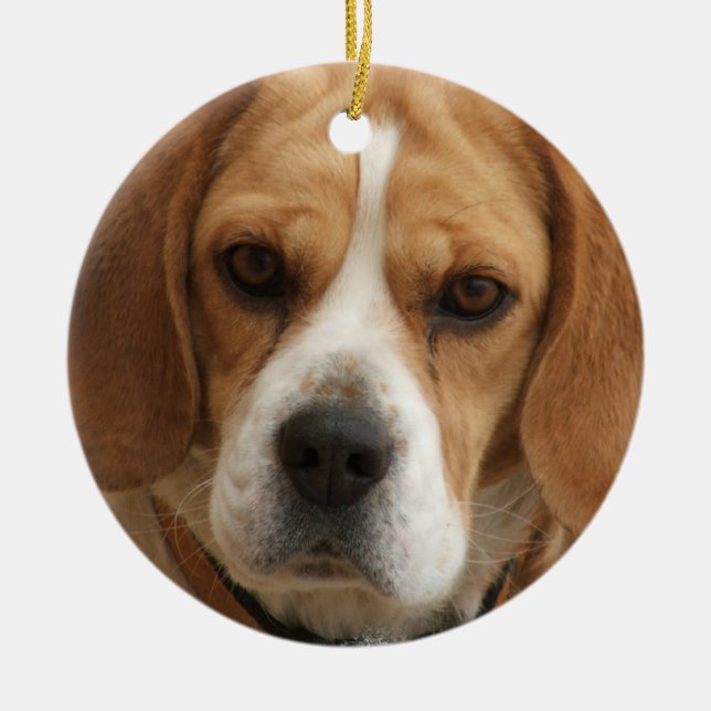 Beagle Ornament (Front)