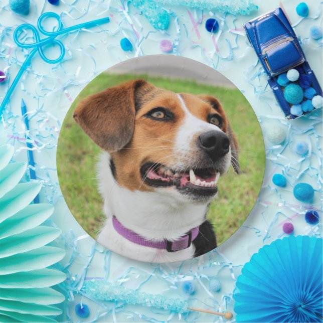 Beagle Paper Plate (Party)