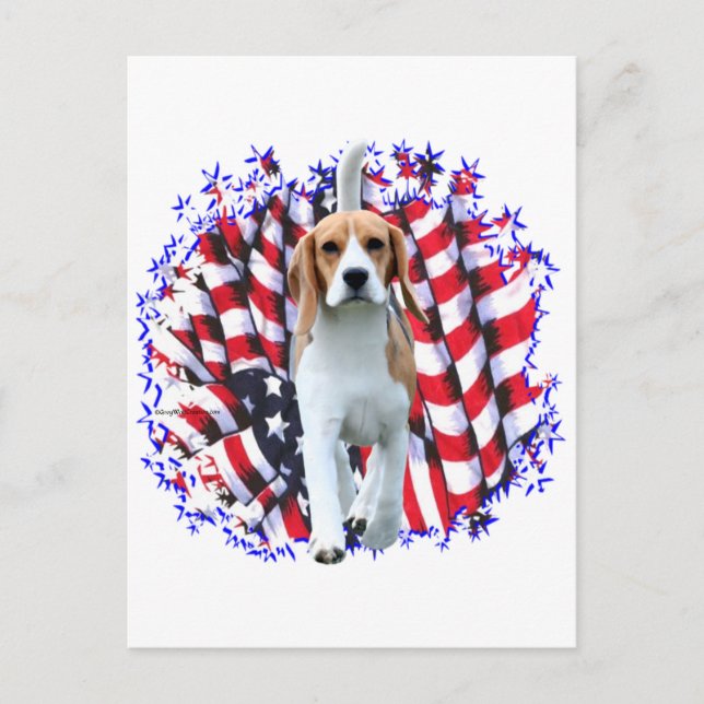 Beagle Patriot Postcard (Front)