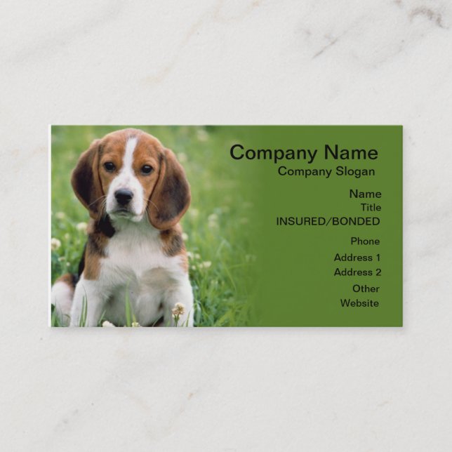 Beagle Pet Sitting Business Card (Front)