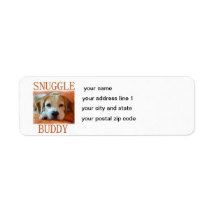 beagle petit pote