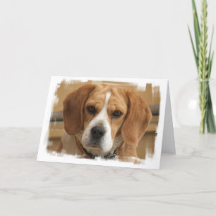 Beagle Pictures Greeting Card