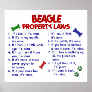 BEAGLE PL2 POSTER