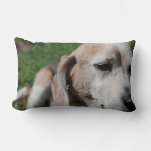 beagle portrait lumbar pillow