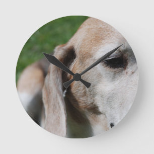 beagle portrait round clock