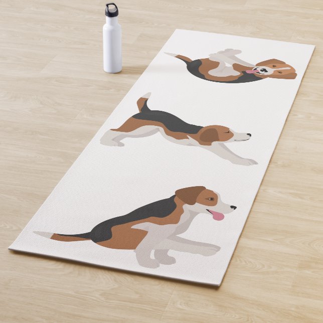 Beagle pose de tapis de yoga (En situation)