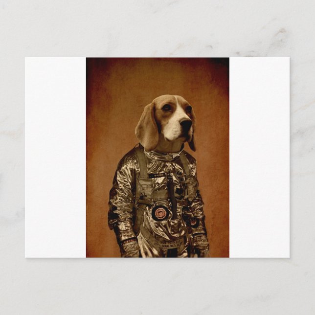 Beagle Postcard (Front)