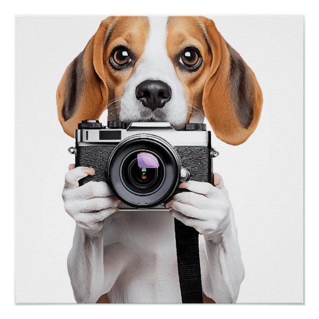 Beagle Poster (Front)