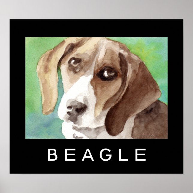 Beagle Posters (Front)