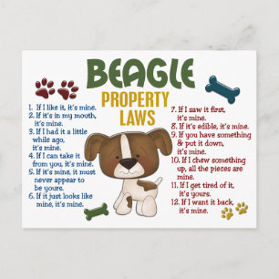 Beagle Property Laws 4 Postcard