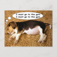 Beagle Pup Dreaming of Getting Fit