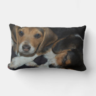 Beagle Puppies Pillow