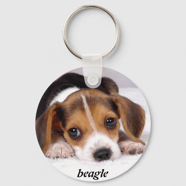 beagle-puppies-wallpaper-11.jpg, beagle keychain (Front)