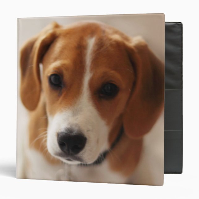 Beagle Puppy 2 Binder (Front/Inside)